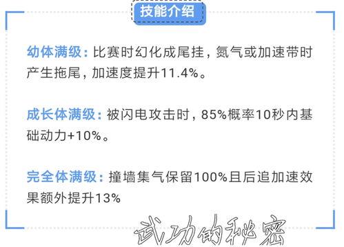 飞车宠物最新爆料在哪看,揭秘神秘新功能，独家观看攻略揭晓！
